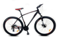 Велосипед Benetti Virtu DD 29''